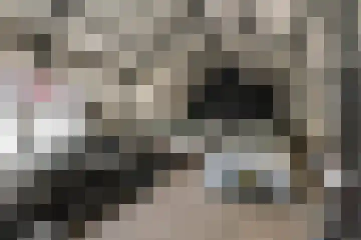 De Geer 1 Ophemert thumbnail 46