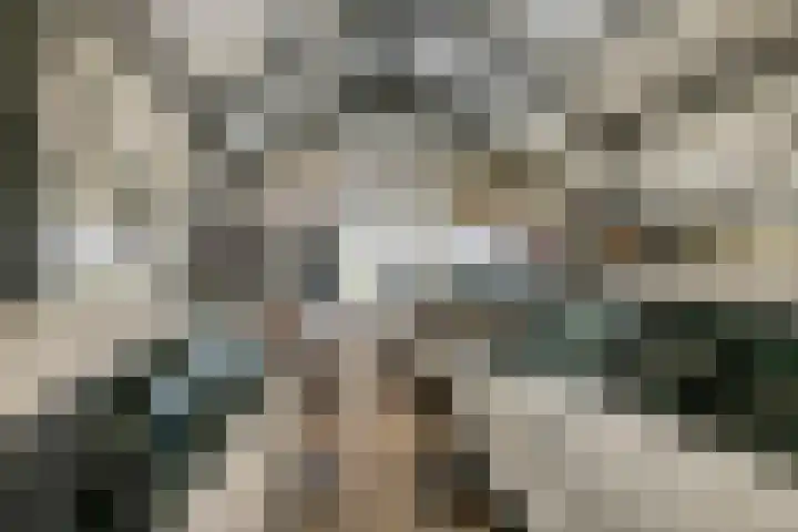 De Geer 1 Ophemert thumbnail 47