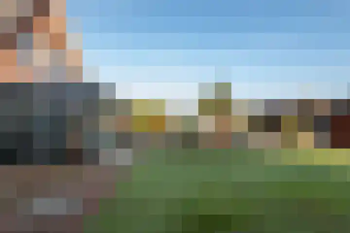 De Geer 1 Ophemert thumbnail 50