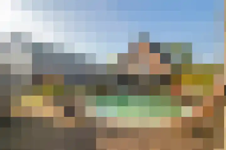 De Geer 1 Ophemert thumbnail 52