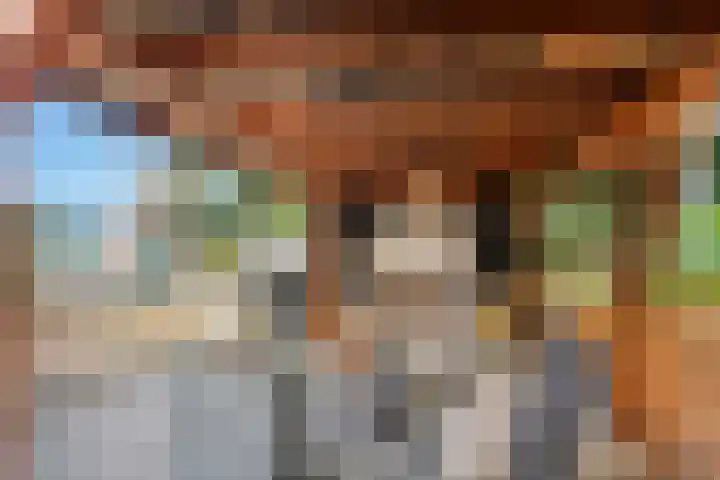 De Geer 1 Ophemert thumbnail 54