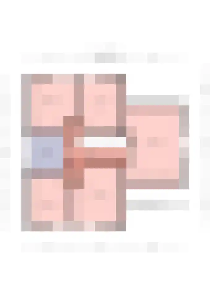 De Geer 1 Ophemert thumbnail 63