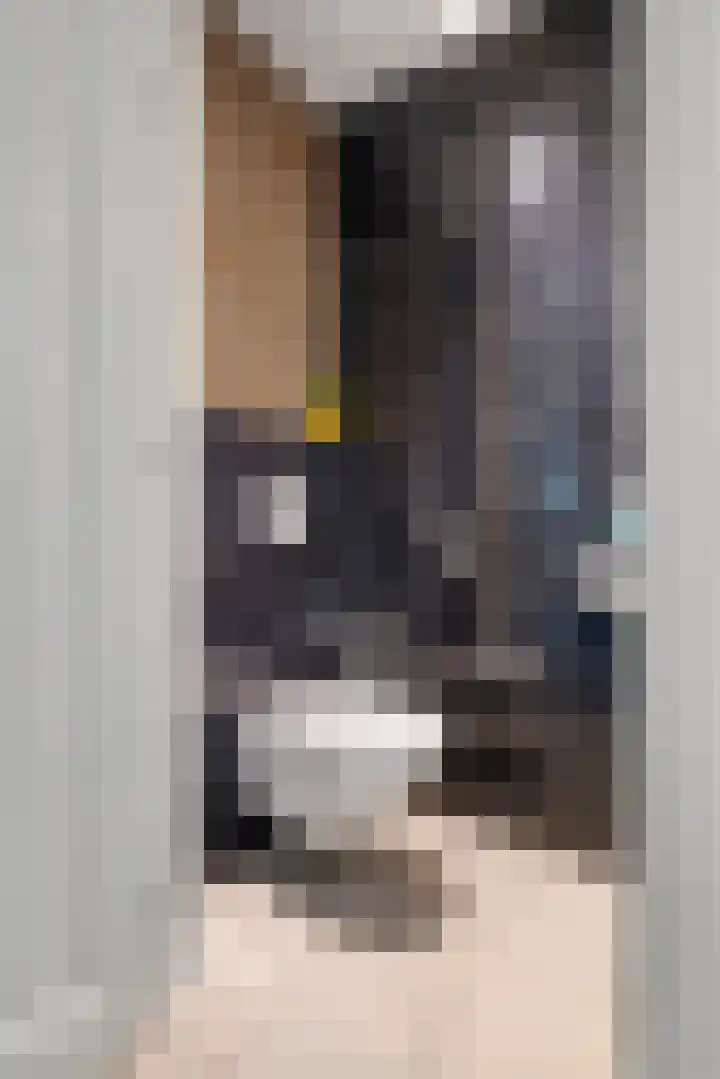 De Geer 1 Ophemert thumbnail 8