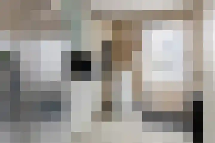 De Geer 1 Ophemert thumbnail 9