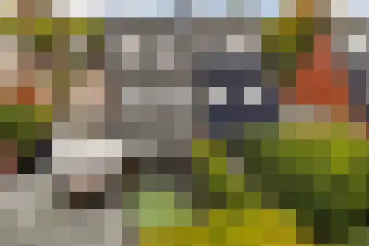 de Geer 1007 Wijchen thumbnail 18