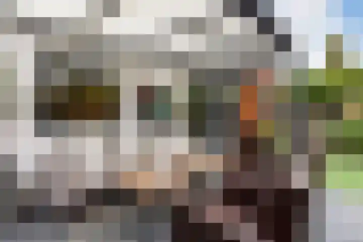 de Geer 1007 Wijchen thumbnail 19