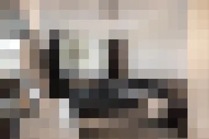 de Geer 1007 Wijchen thumbnail 22