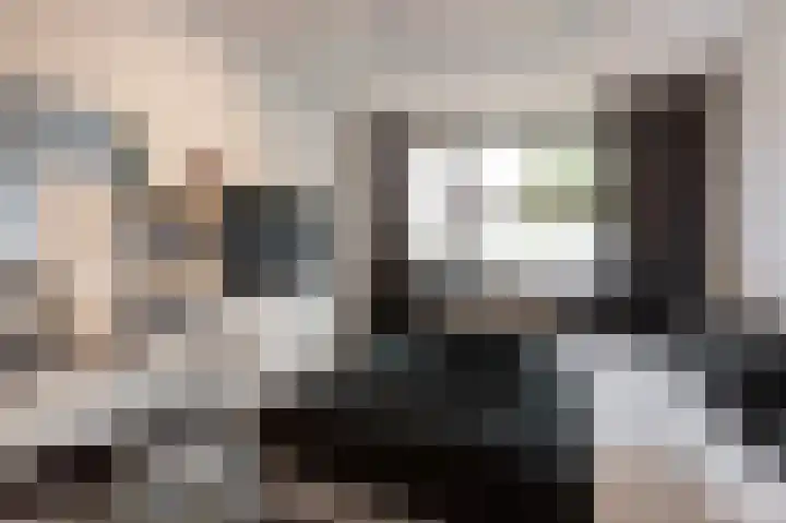 de Geer 1007 Wijchen thumbnail 23