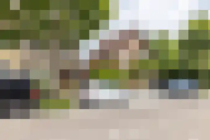 de Geer 1007 Wijchen thumbnail 29