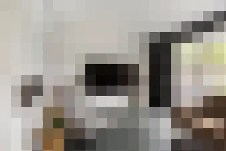 de Geer 1007 Wijchen thumbnail 7