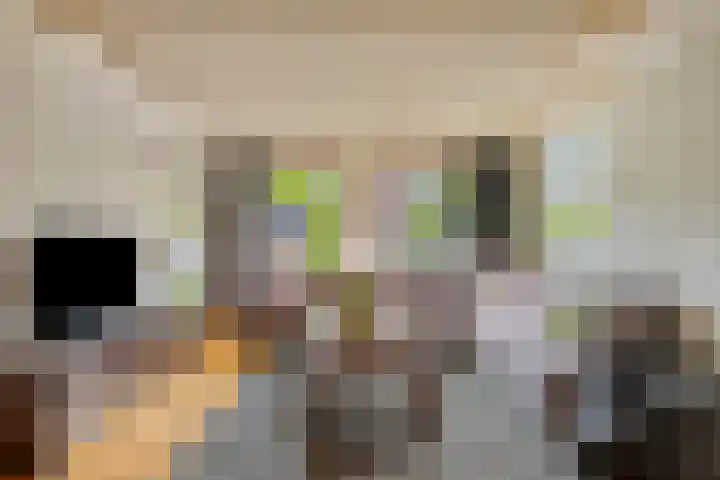 De Geerden 3 Nistelrode thumbnail 10