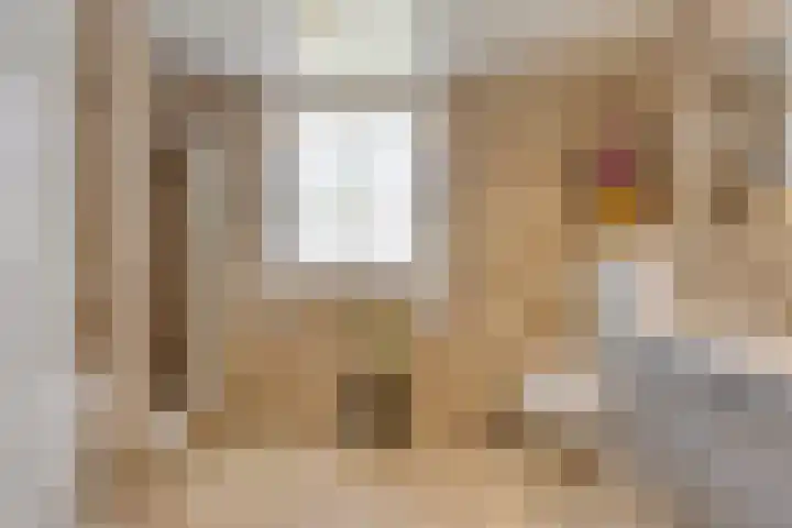 De Geerden 3 Nistelrode thumbnail 29