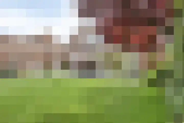 De Geerden 3 Nistelrode thumbnail 39