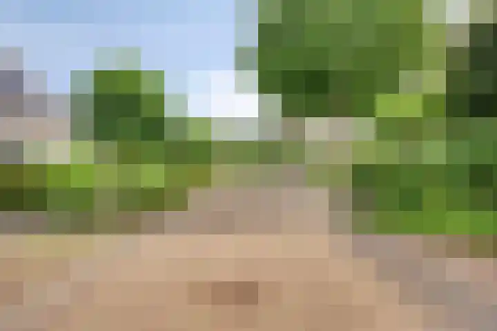 De Geerden 3 Nistelrode thumbnail 50