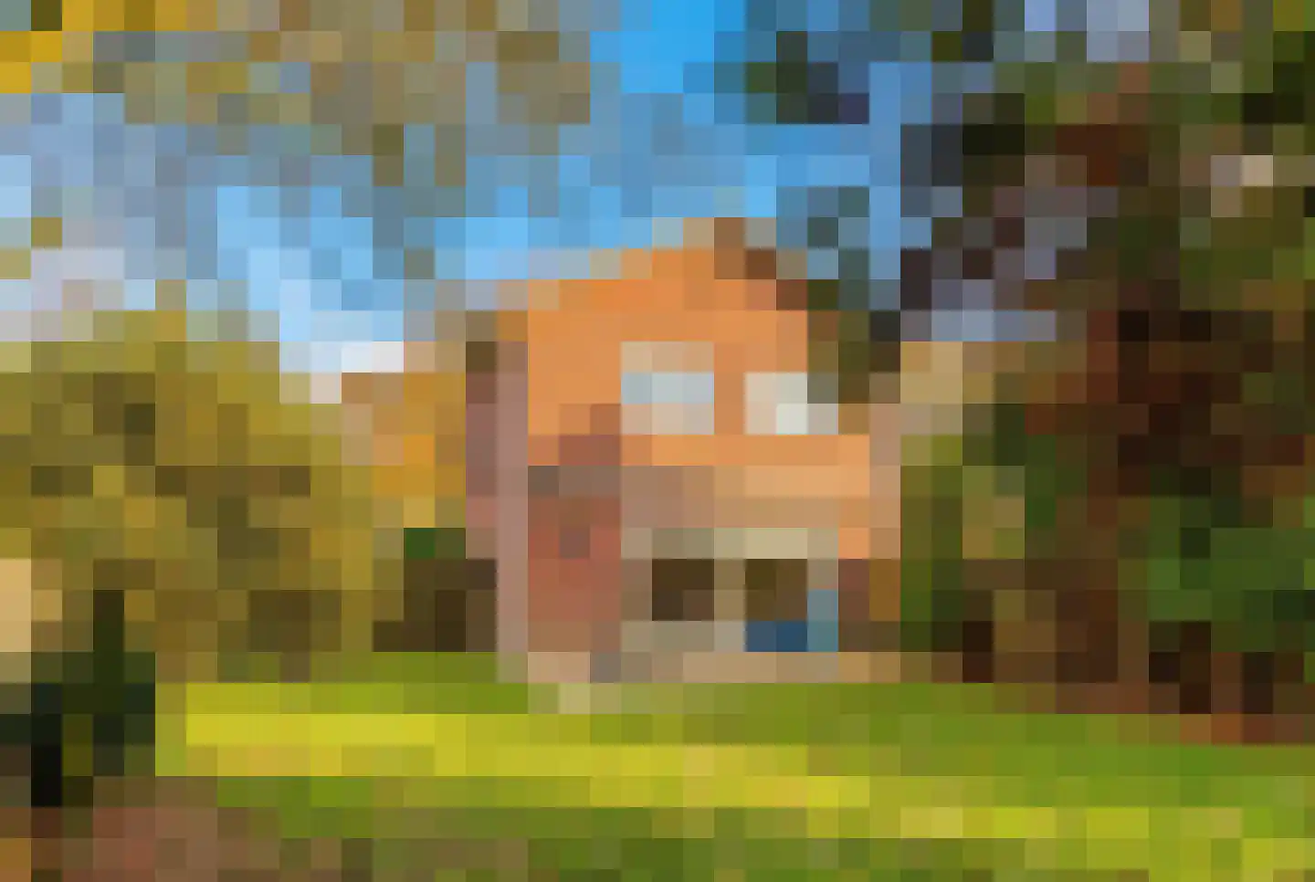 de Geerenweg 1 Baarn thumbnail 17