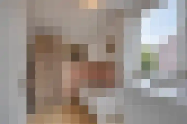 De Gelimment 8 Mheer thumbnail 24