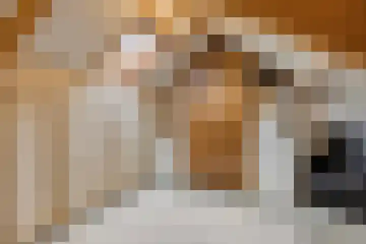 De Gelimment 8 Mheer thumbnail 25