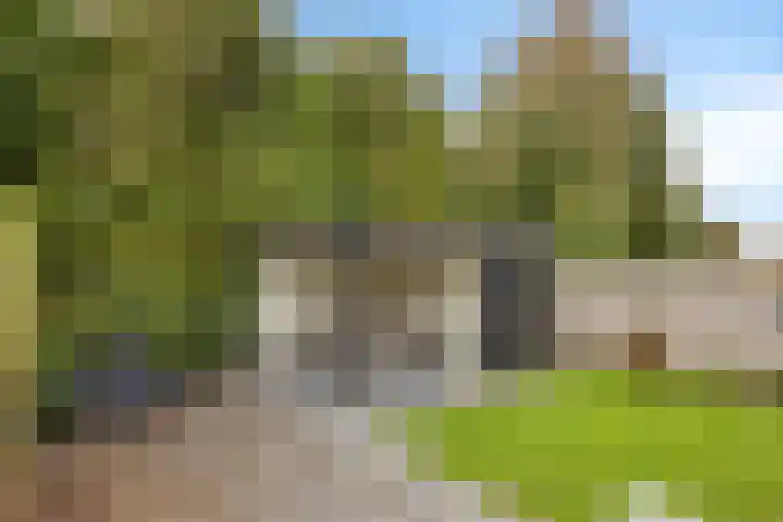 De Gelimment 8 Mheer thumbnail 30