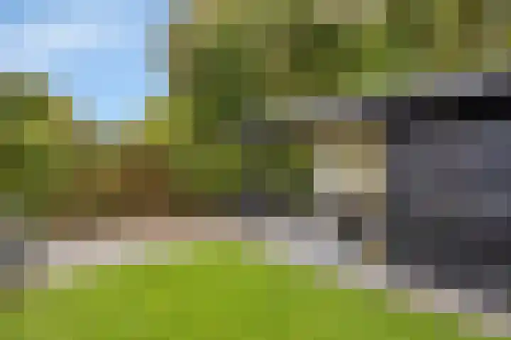 De Gelimment 8 Mheer thumbnail 31