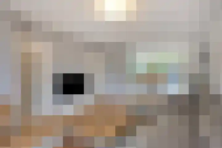 De Gelimment 8 Mheer thumbnail 5