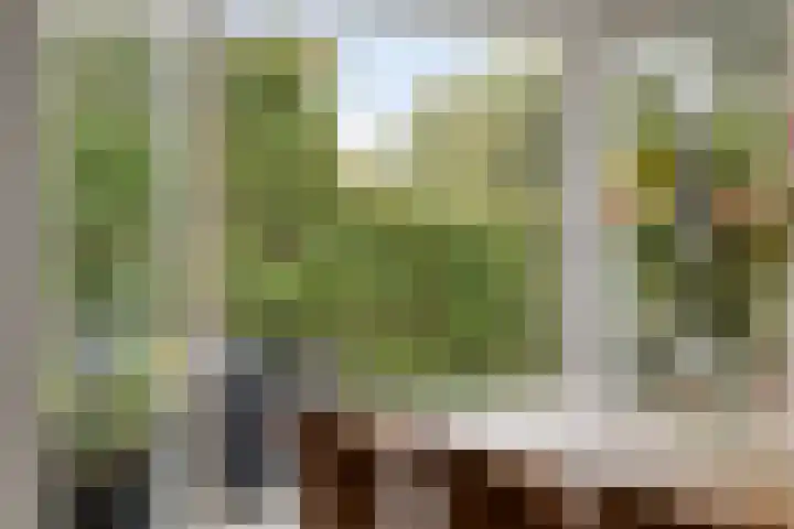 De Gelimment 8 Mheer thumbnail 9