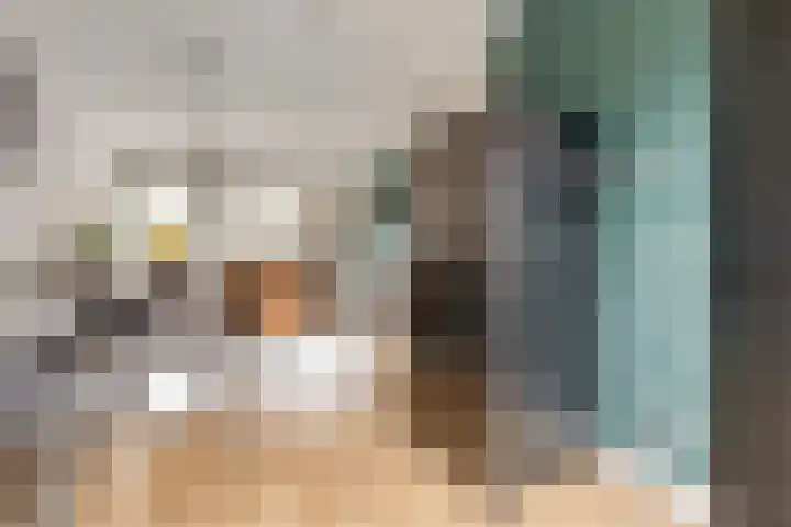 De Gemeint 38 Boekel thumbnail 8