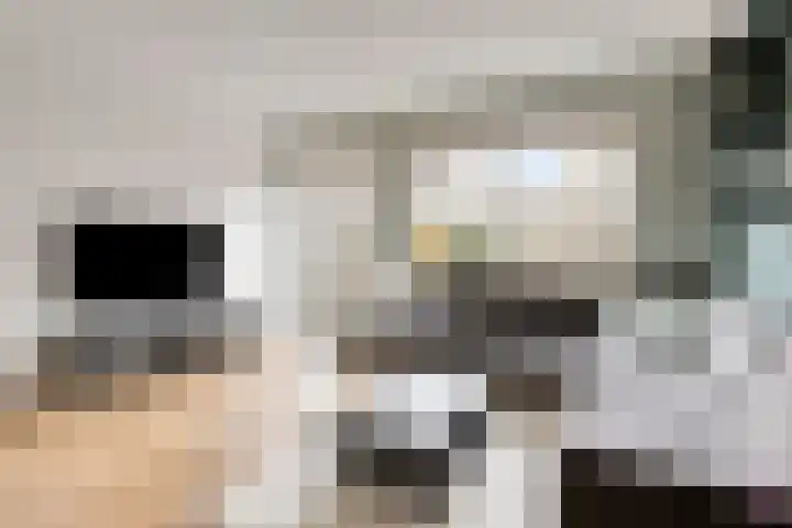 De Gemeint 38 Boekel thumbnail 9