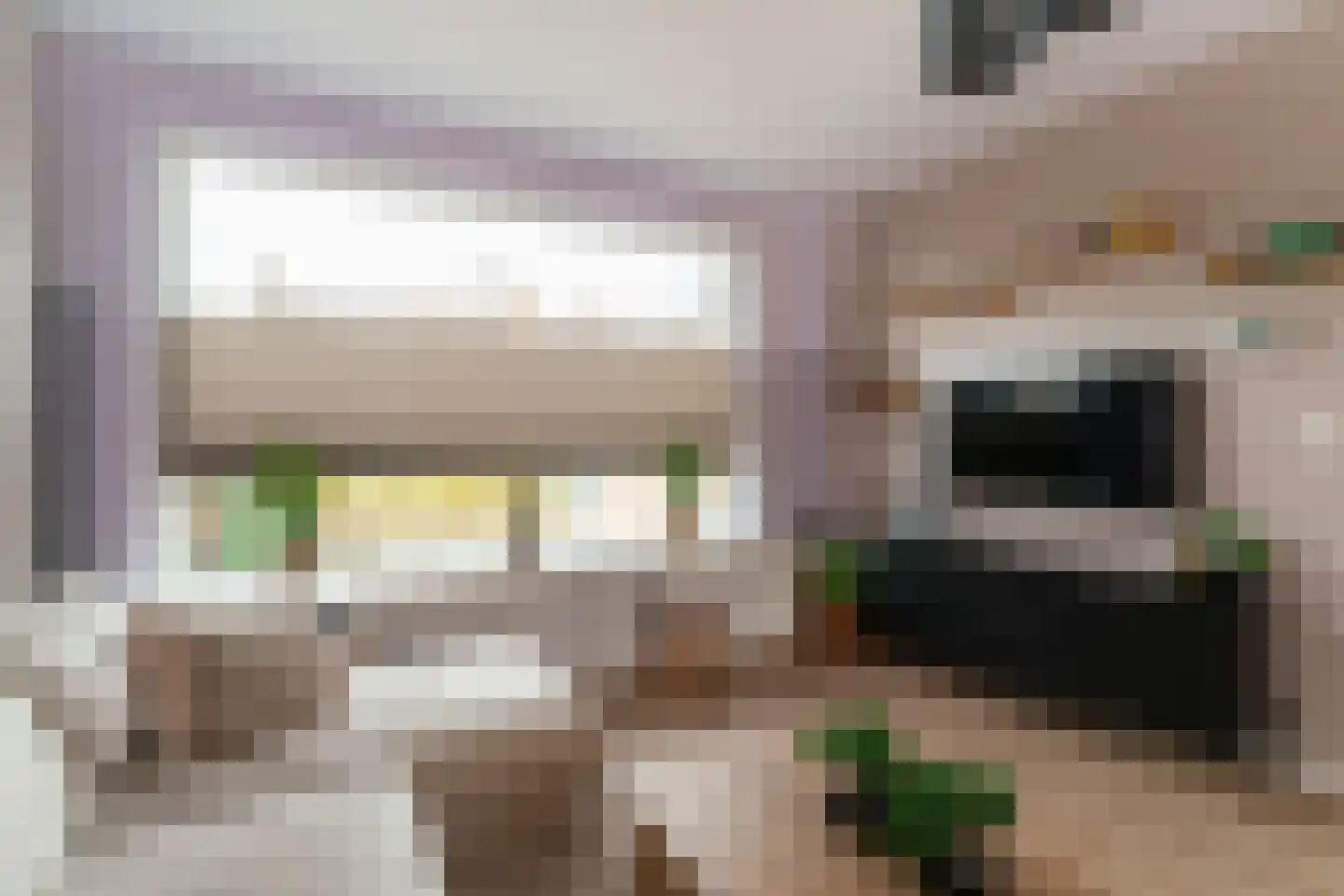 De Gemeint 42 Giesbeek thumbnail 13