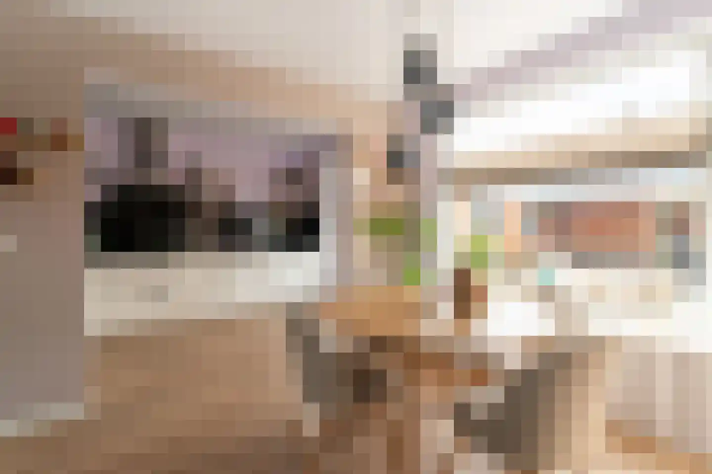 De Gemeint 42 Giesbeek thumbnail 18
