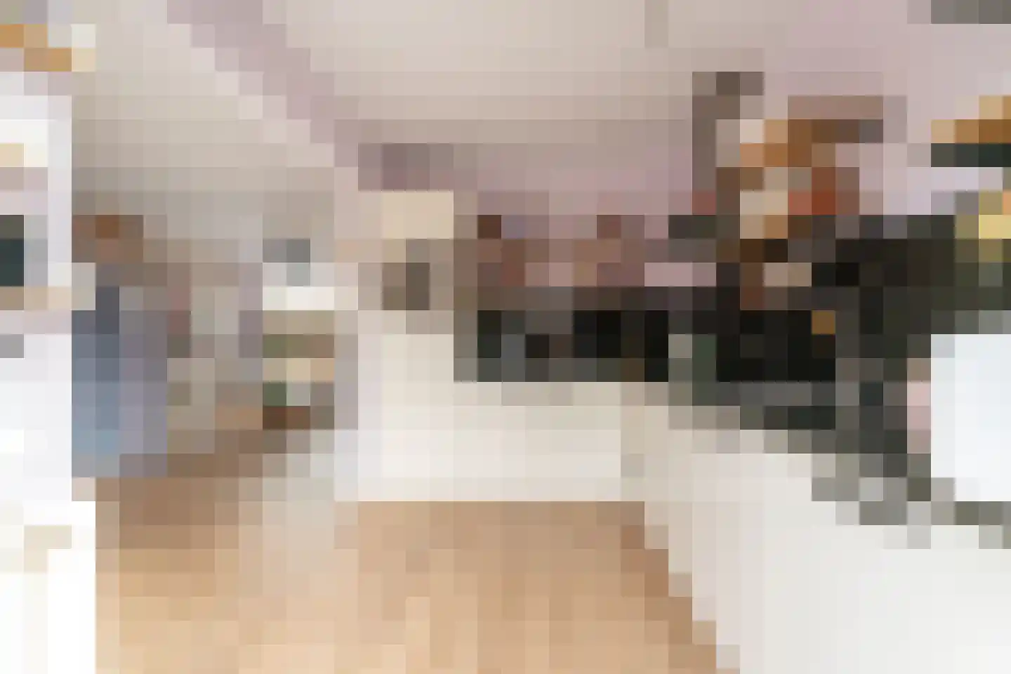 De Gemeint 42 Giesbeek thumbnail 19