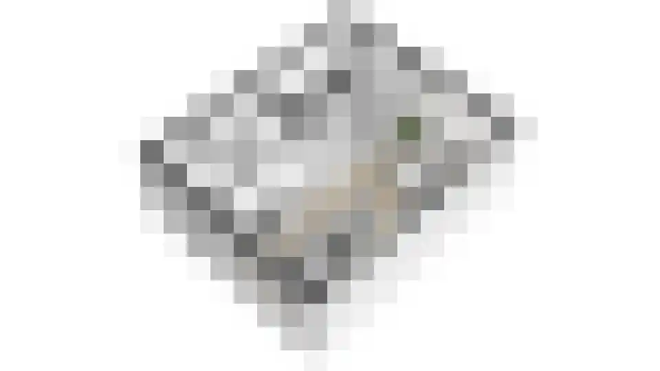 De Gemeint 42 Giesbeek thumbnail 43