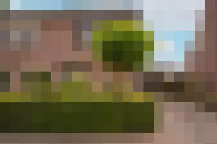 de Geren 3 Wamel thumbnail 41