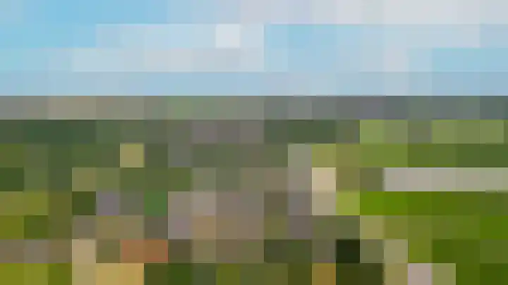 de Geren 3 Wamel thumbnail 50