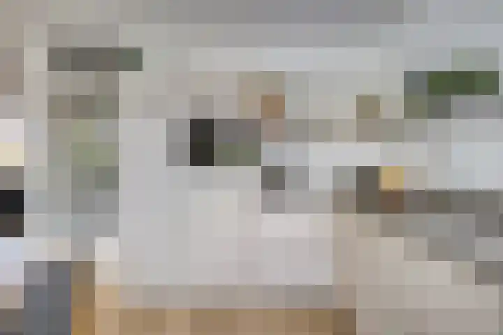 de Gervelink 26 Denekamp thumbnail 13