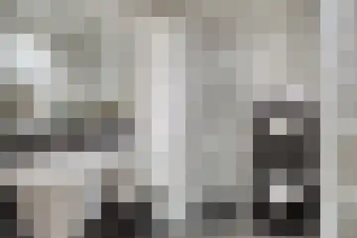 de Gervelink 26 Denekamp thumbnail 17