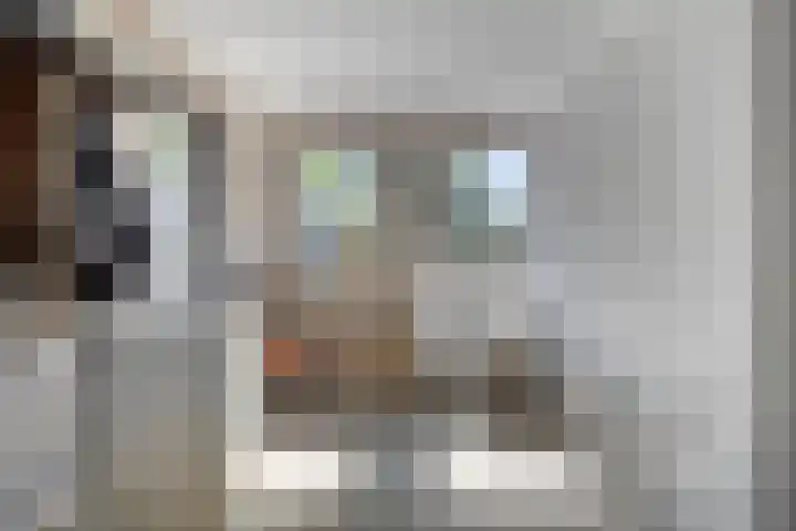 de Gervelink 26 Denekamp thumbnail 21