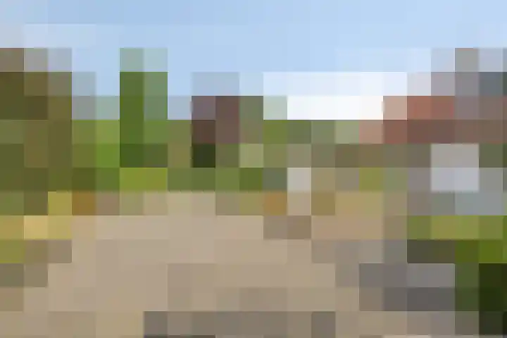 de Gervelink 26 Denekamp thumbnail 36