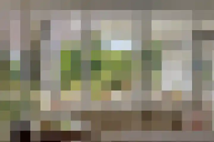 de Gervelink 26 Denekamp thumbnail 8