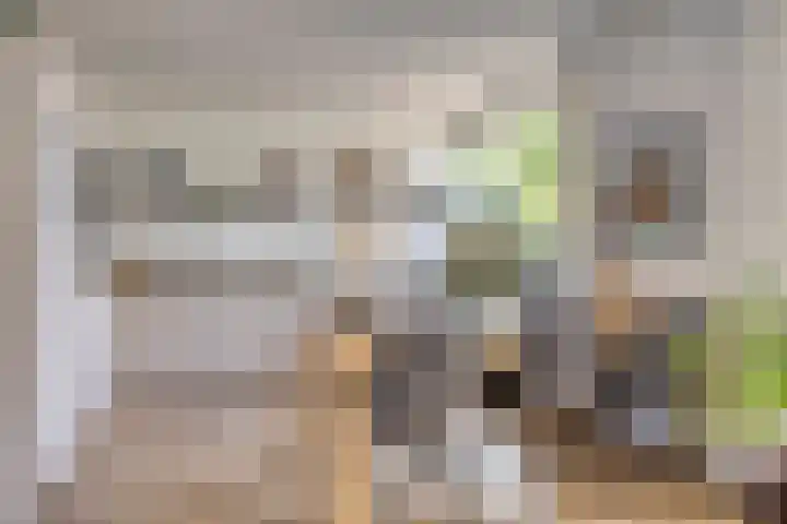 de Gervelink 26 Denekamp thumbnail 9