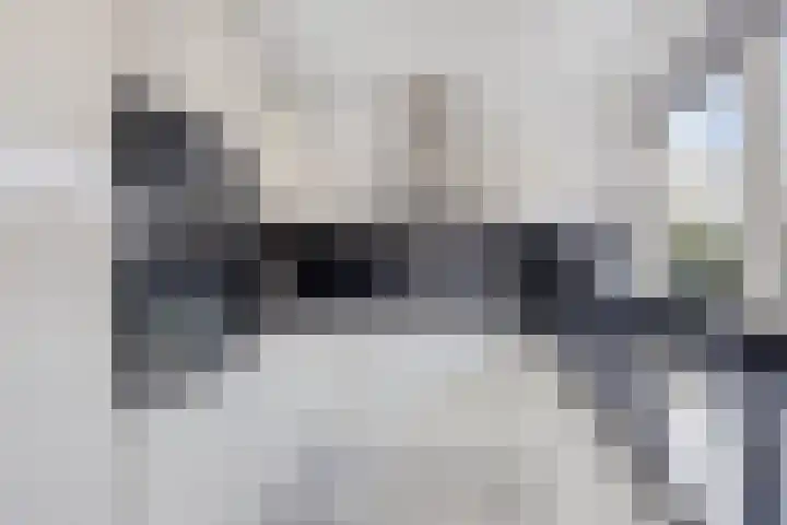 De Gewanten 11 Arnhem thumbnail 10