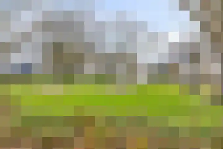 De Gewanten 11 Arnhem thumbnail 32