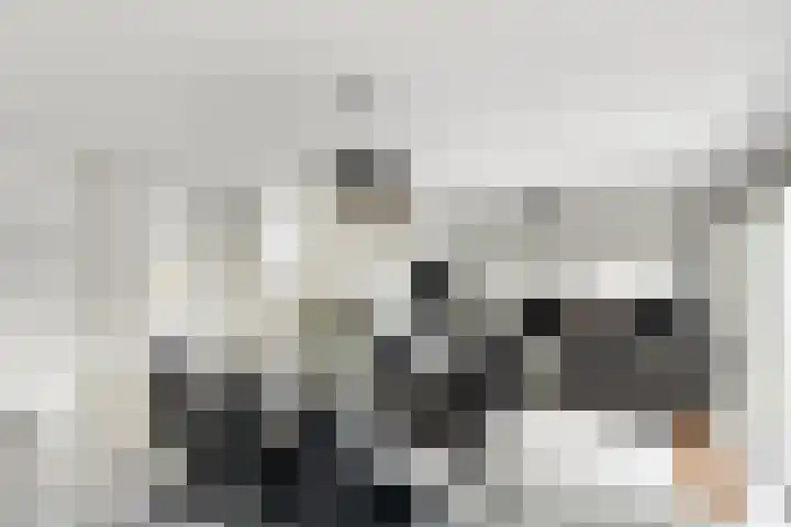 De Gewanten 11 Arnhem thumbnail 5