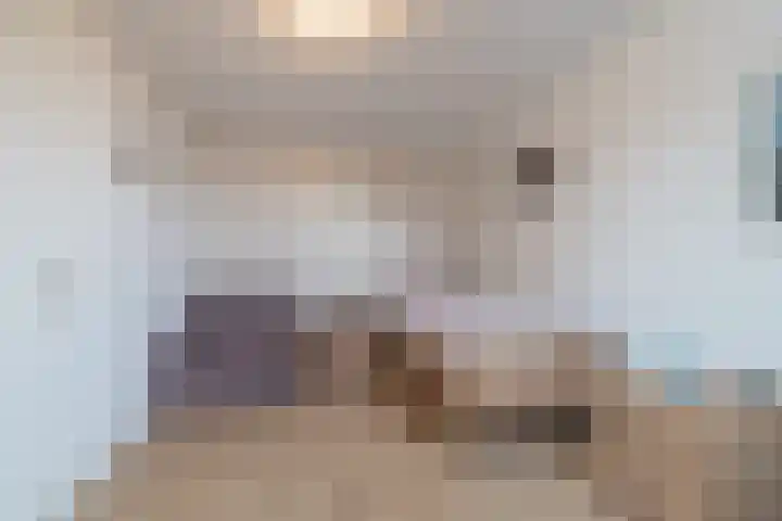 Team foto van De Gier Makelaars