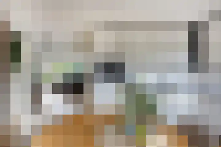 De Gijster 28 Made thumbnail 14