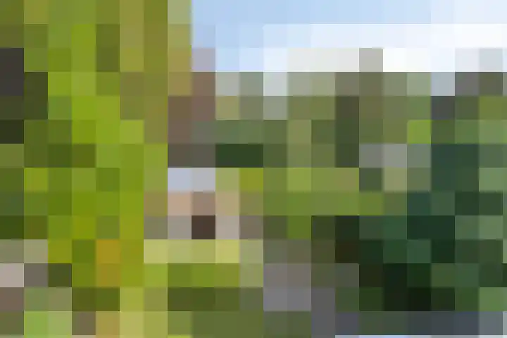 De Gijster 28 Made thumbnail 19