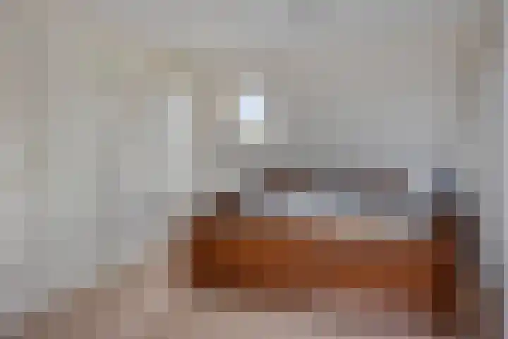 De Gijster 28 Made thumbnail 29