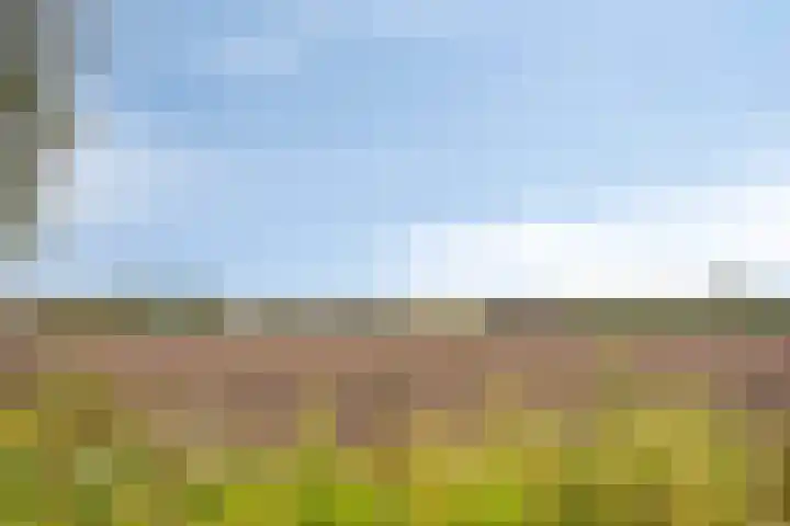 De Gijster 28 Made thumbnail 34