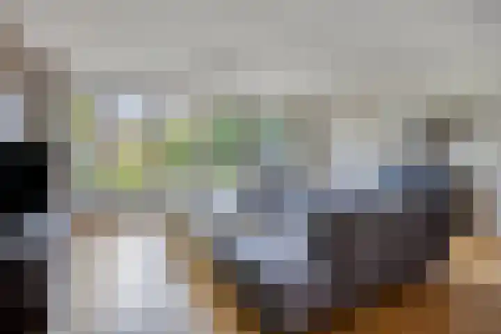De Gijster 28 Made thumbnail 8