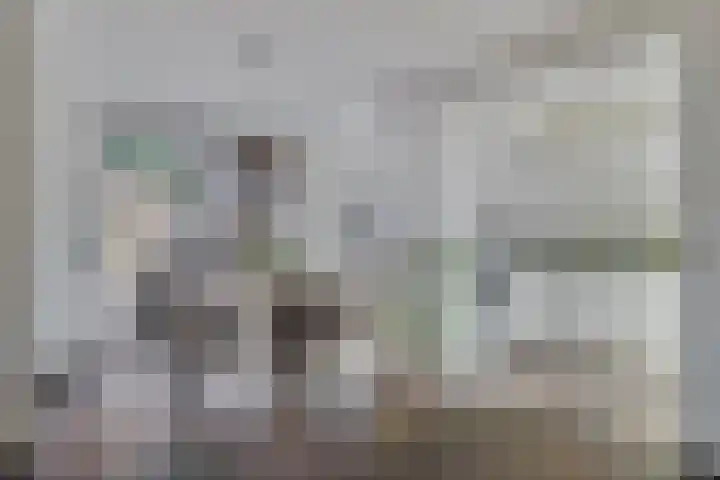 De Gijster 44 Made thumbnail 10