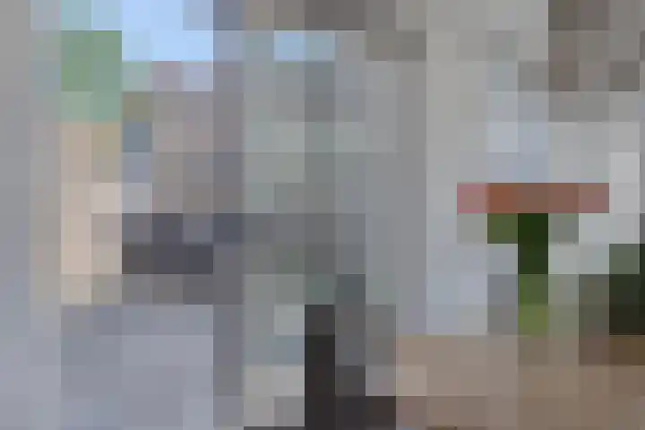 De Gijster 44 Made thumbnail 12